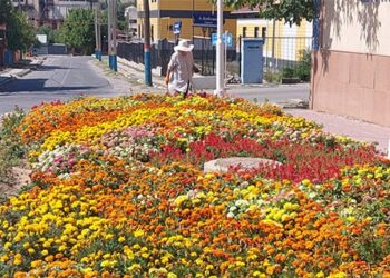 Құрмет пен алғысқа лайық